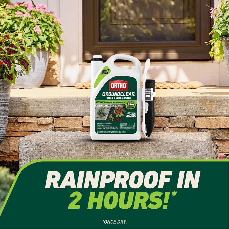 Ortho&reg; GroundClear&reg; Weed & Grass Killer with Comfort Wand&reg; image number null